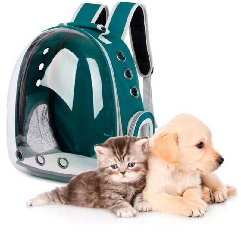 Mochila Pet Transporte para Cães e Gatos Verde – Visão Ampla, Conforto e Segurança em Cada Passeio