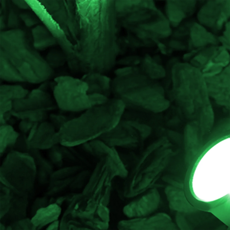 Kit com 10 Luminárias de Jardim Espeto com Lâmpada LED 7W – Iluminação Decorativa e Funcional para Áreas Externas