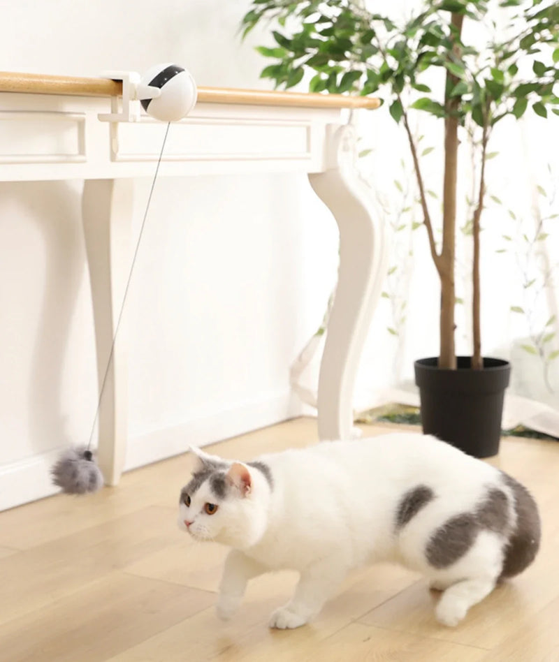 Brinquedo Interativo Automático para Gatos e Cachorros – Diversão Inteligente que Estimula e Entretenha