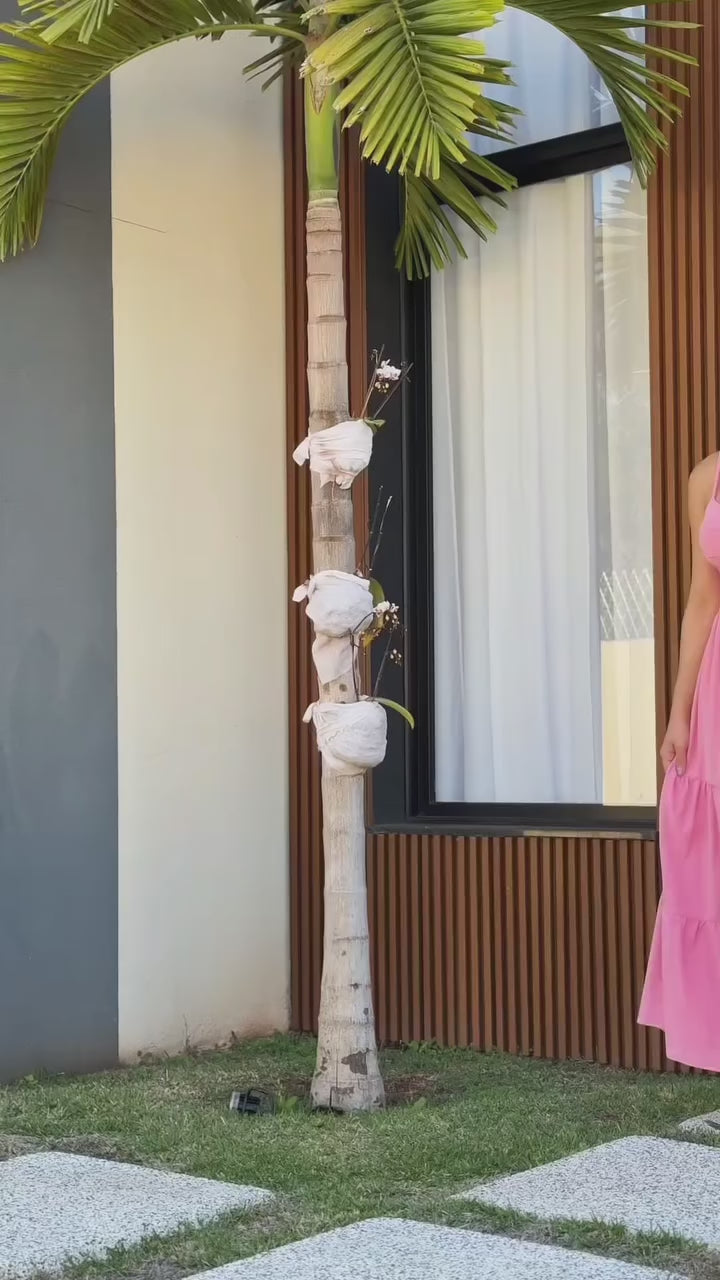 Vestido Mari Feminino - Rosa