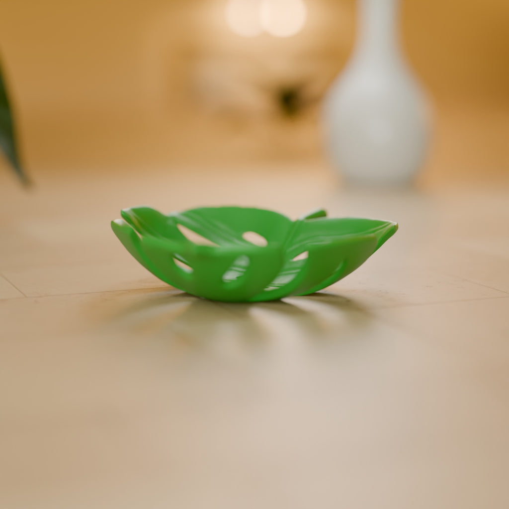Bowl Folha de Costela-de-Adão (Monstera) decorando o ambiente