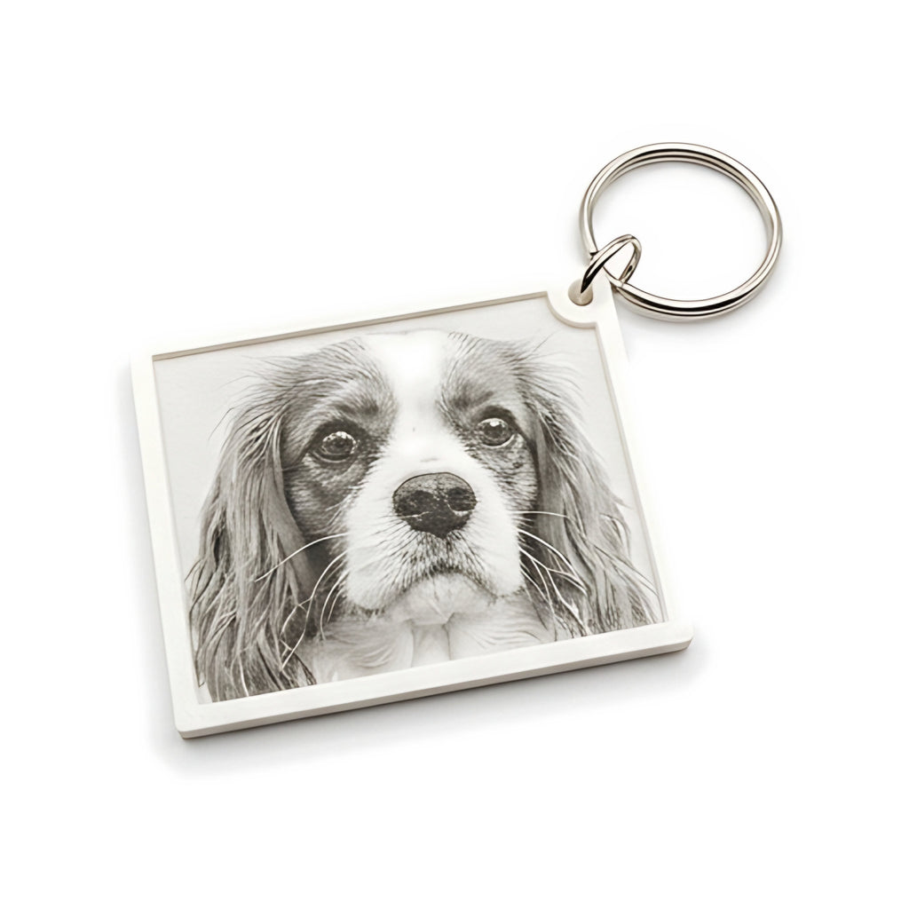 Chaveiro litofania com foto do pet — Rucca 3D