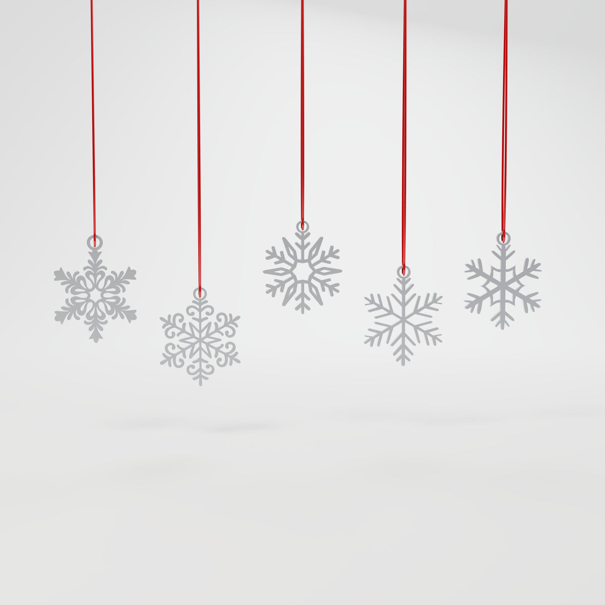 Conjunto 12 Flocos de Neve Diferentes para Árvore, Prata